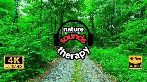 8D Audio: Summer Forest (Birdsong, White Noise, ASMR) | Deep Relaxation & Sleep | 4K