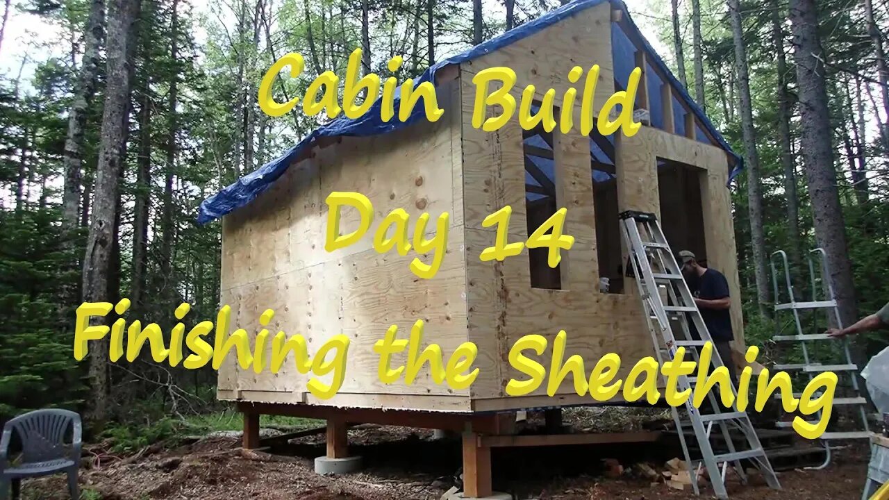 Off-Grid Cabin Build Day 14 - Finishing the Sheathing - June 2022