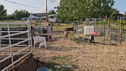 Graham Family Farm NW: 6:40 PM June 22 2025