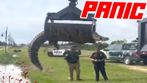 Alligator Alcatraz Detainees Are Mad it's Not a 5 Star Hotel