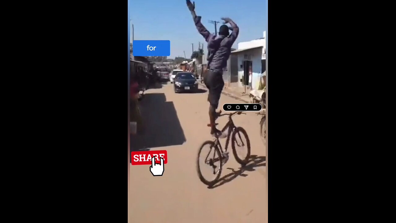 funny videos