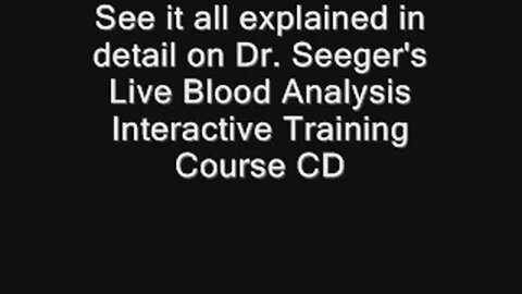 "Live Analysis of White Blood Cells"