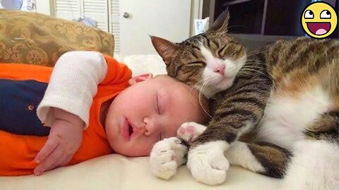 🐱 Funny and Cute Cats & Babies Moments 👶| Too Sweet to Handle!❤️