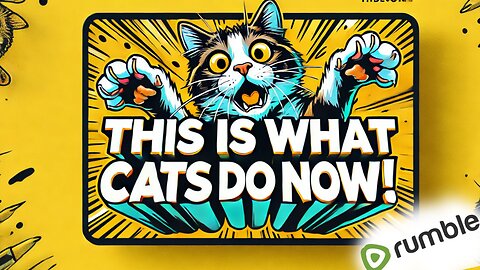 This Is What Cats Do Now! 😄😄 | Funny cats moments