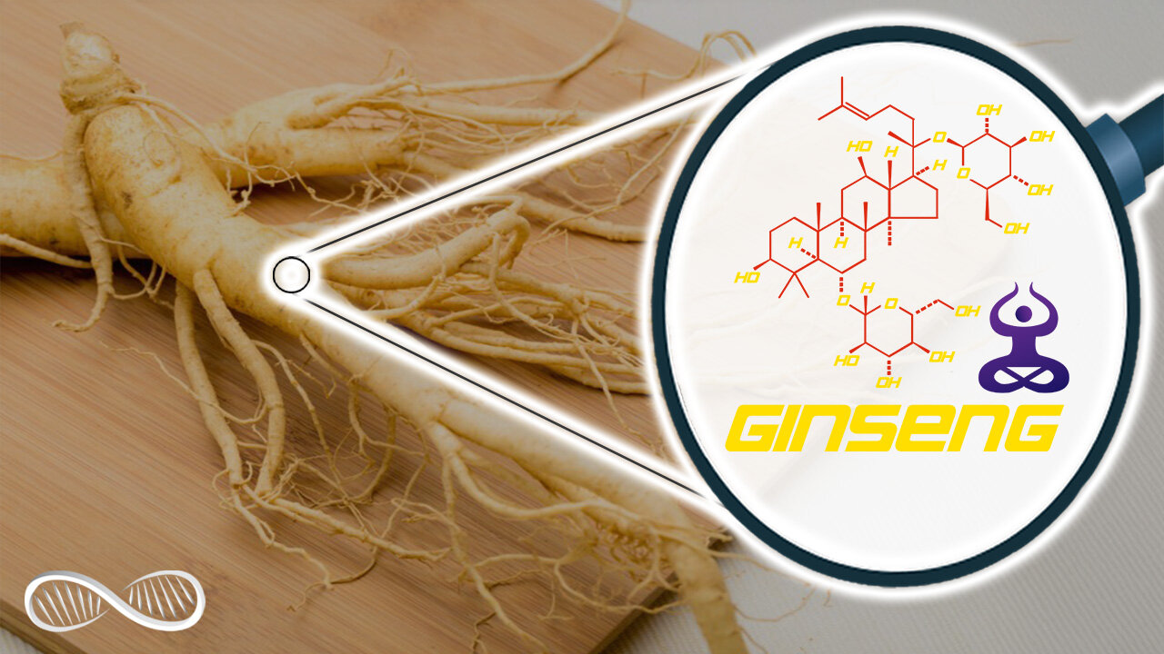 Panax Ginseng: The Stress-Hormone-Hacking Adaptogenic Nootropic