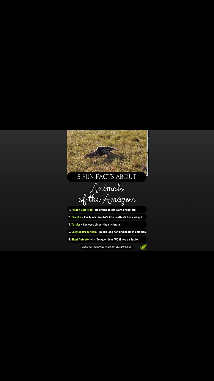 5 Fun Facts About Amazing Animals of the Amazon Part Two #animallovers #wildlifefacts
