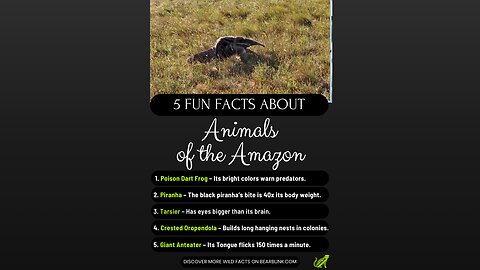 5 Fun Facts About Amazing Animals of the Amazon Part Two #animallovers #wildlifefacts