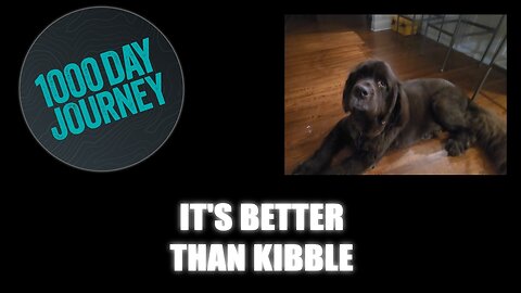 1000 Day Journey 0698 It's Betten Than Kibble