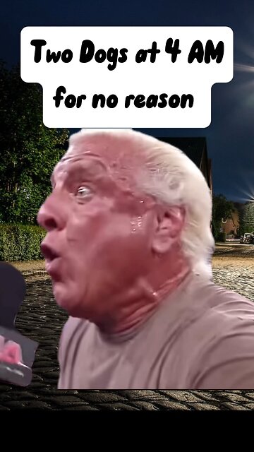 Memes that will make you laugh 😂