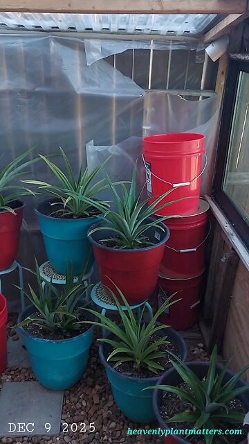 Prepping for Work on the Interior North Wall!