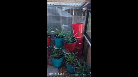 Prepping for Work on the Interior North Wall!