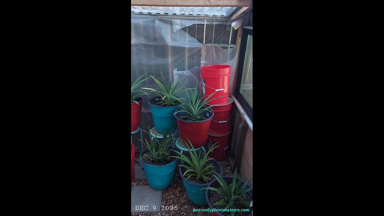 Prepping for Work on the Interior North Wall!