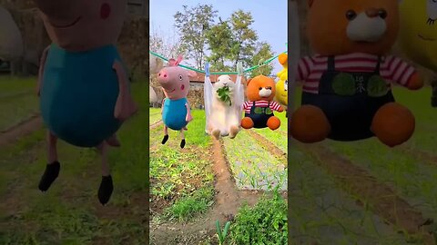 The weather is fine, let's take a look at the little rabbit. Cute pet debut plan. Rabbit rural l