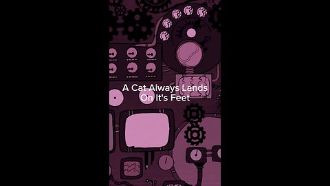 A Cat Always Lands On It's Feet