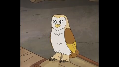 American Barn Owl