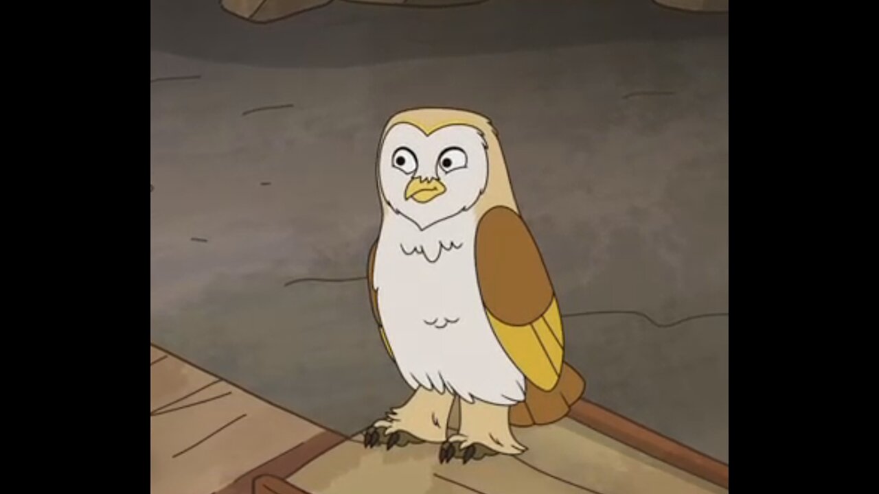 American Barn Owl