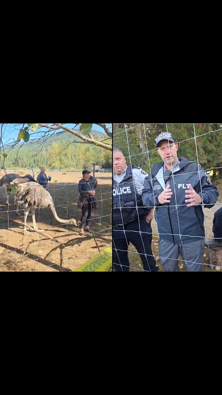 Sickening!! RCMP Coercion Under Stress