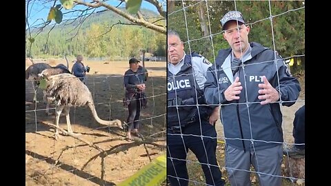 Sickening!! RCMP Coercion Under Stress 
