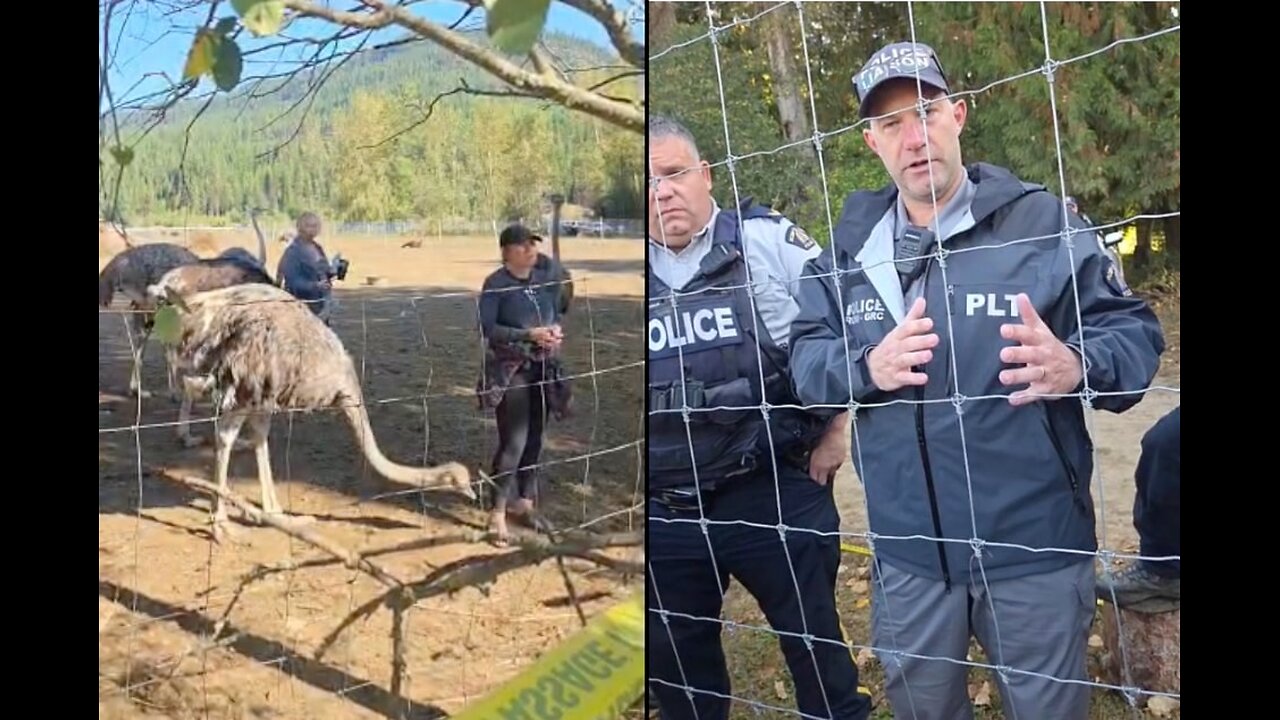Sickening!! RCMP Coercion Under Stress