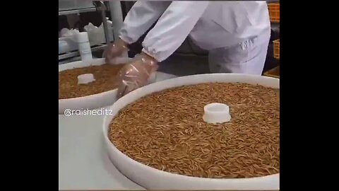 Eat Zie new BUG Protein Powder YA - OMG NO...