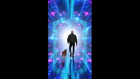 Walking With Deano Through the Tunnel of Light 🌅🐾