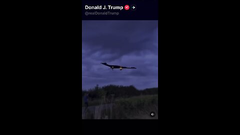 Trump be Trolling Hard