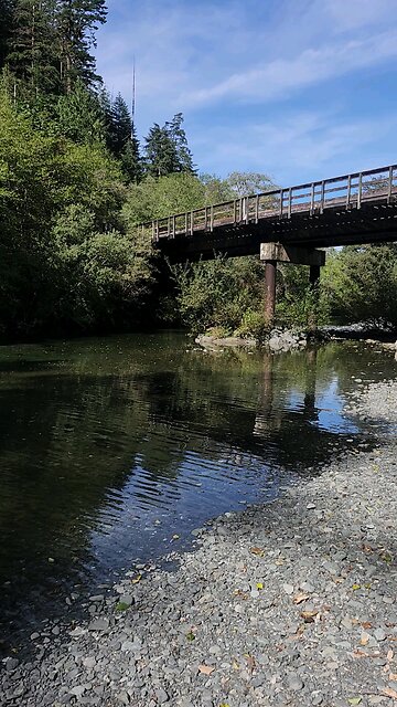 Blackberry Smoke & Salmon