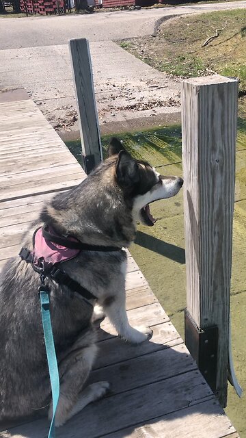 Friday May 9, Let the children come to me.