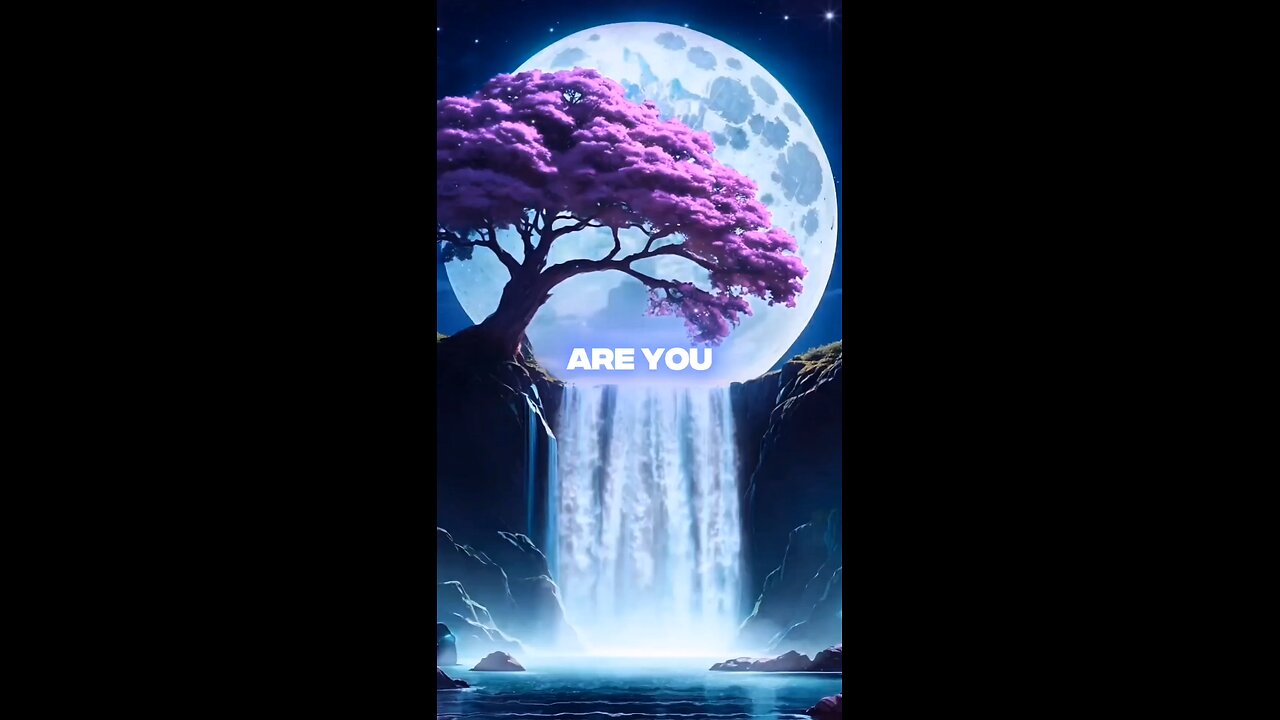 ↓Why Your Restaurant Is Empty Every Friday