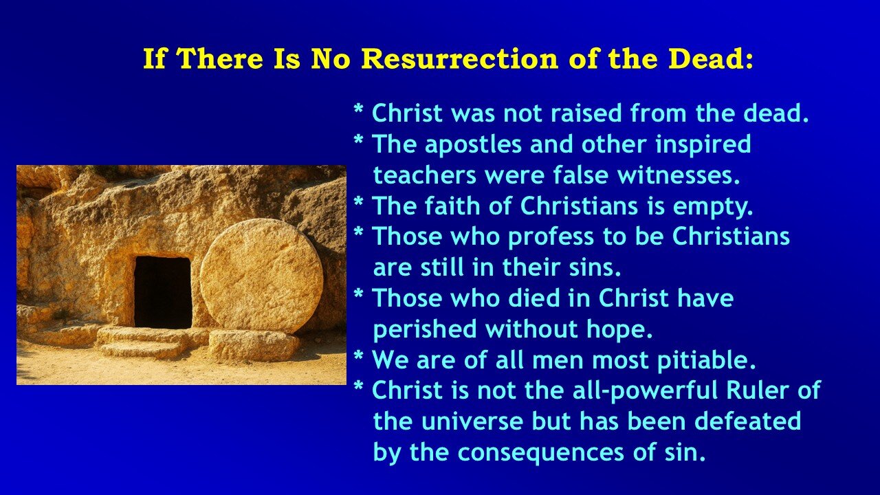 Video Bible Study: 1 Corinthians - #065