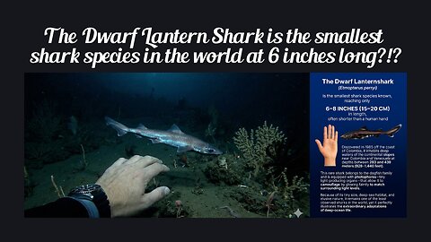 Fun Fact for Dec 2nd 2025 Pt 1