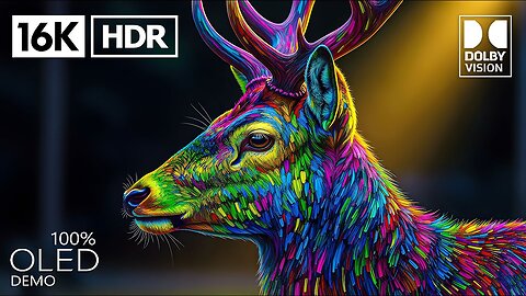 Stunning World of HDR 16K OLED at 120 FPS | Dolby Vision
