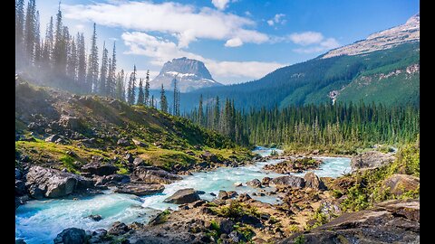 Life is so beautiful, savour every minute and choose happiness✨🍃☘