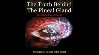 💫✨ THE TRUTH ABOUT THE PINEAL GLAND