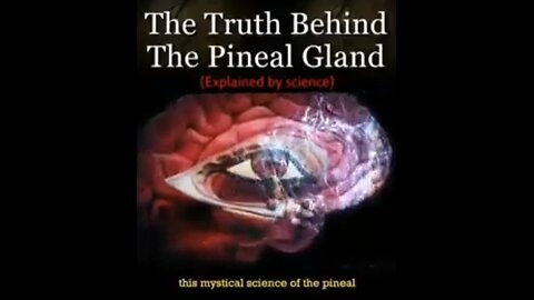 💫✨ THE TRUTH ABOUT THE PINEAL GLAND