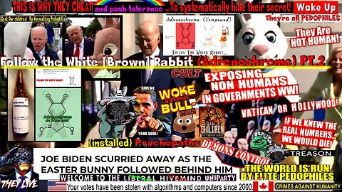 Follow the White [Brown] Rabbit (Adrenochrome) PT.2 - MyCatholicRedPill Compilation Version