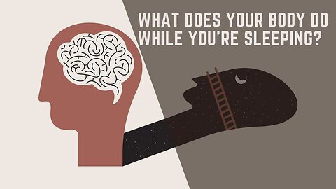 "Why Sleep Is Essential for Your Body and Brain"