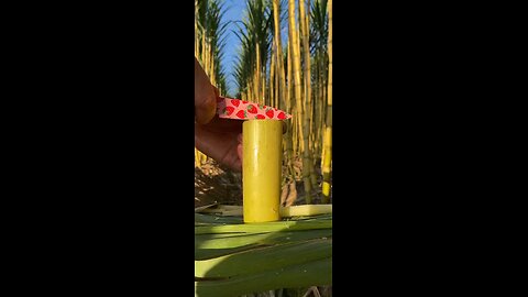 Fresh Sugarcane Juice Cutting