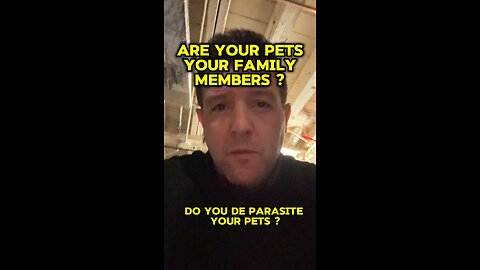 Do you treat your pets like family members ?