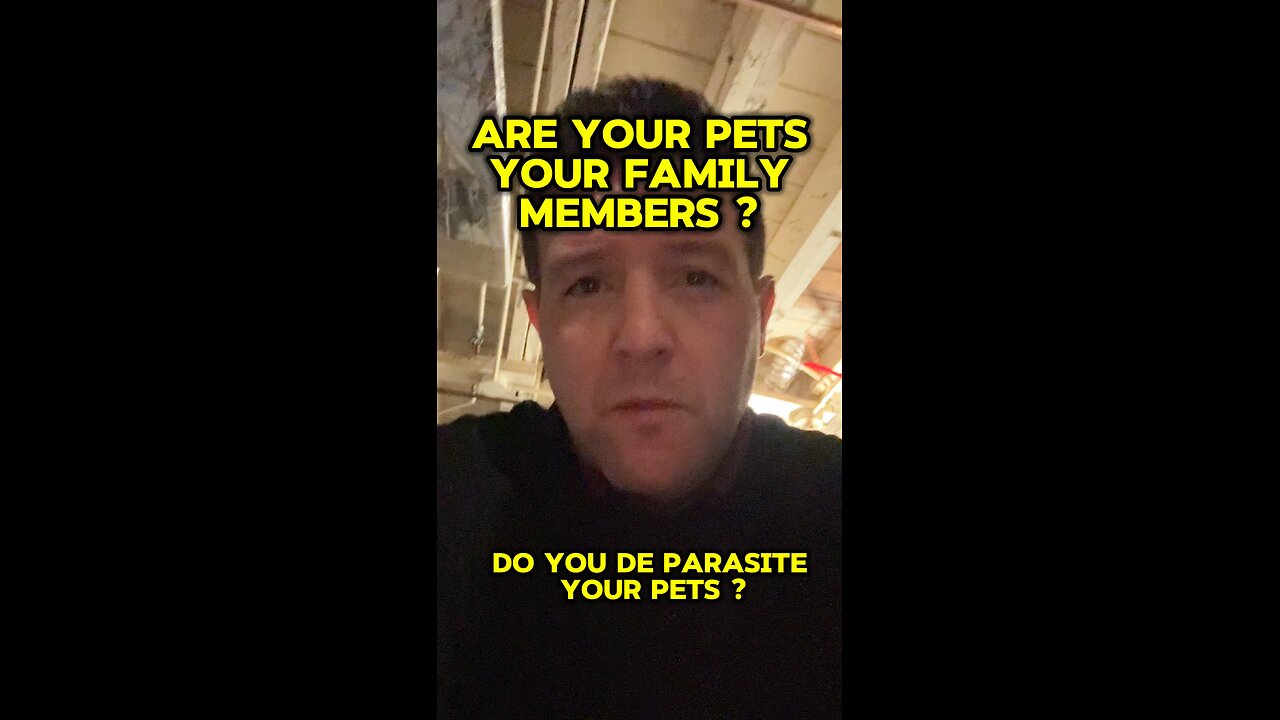 Do you treat your pets like family members ?