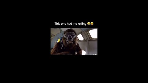 love what i love the most!