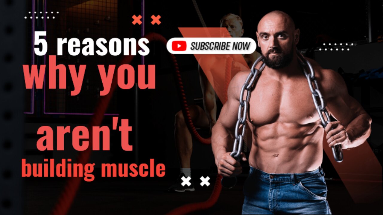 5 reasons why you aren't building muscle part 2