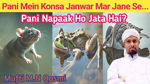 Pani Mein Konsa Janwar Mar Jane Se Pani Napaak Ho Jata Hai? pak Napak Masala by Mufti M.N Qasmi