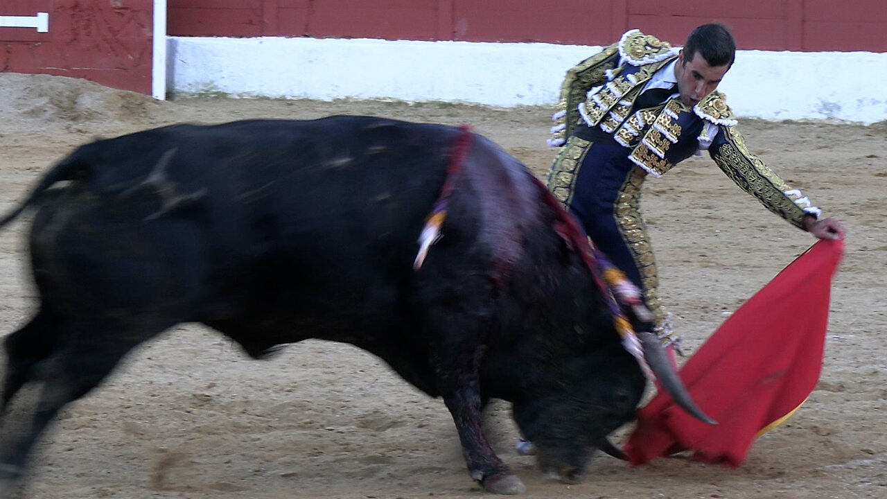 2025 04 26 SAN AGUSTÍN DEL GUADALIX CORRIDA
