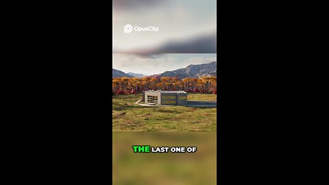 playing game in live
