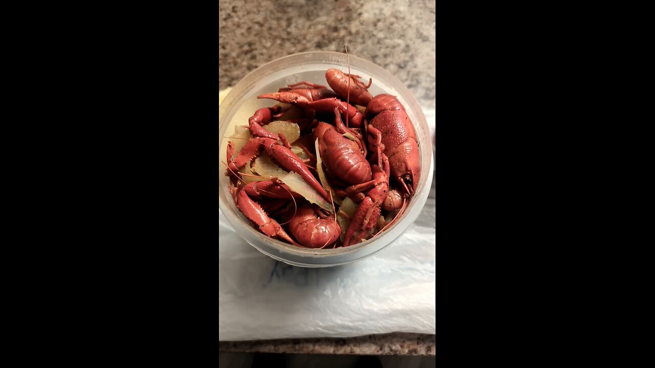 Leta's seafood mukbang