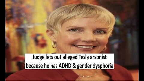 Judge released Tesla firebomber due to lack of gender affirming care