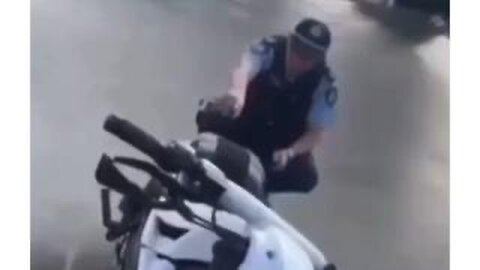COPS ARE MUTTS