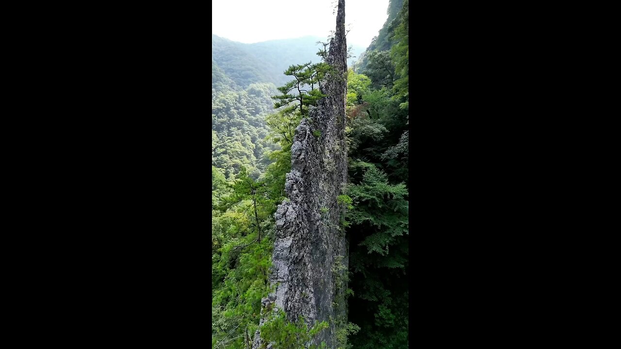 Beautiful amazing superb nature