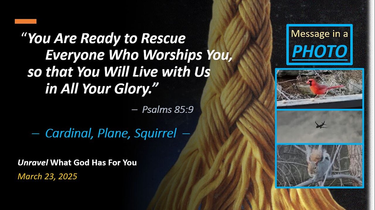 You Are Ready to Rescue Everyone Who Worships You *CARDINAL, PLANE, SQUIRREL* (Mar 23, 2025)